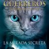 LOS GATOS GUERREROS N° 1 (LA MIRADA SECRETA)