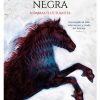 LA COMPAÑIA NEGRA 2 (SOMBRAS FLUCTUANTES)