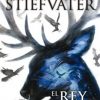 EL REY CUERVO (THE RAVEN BOYS 4)