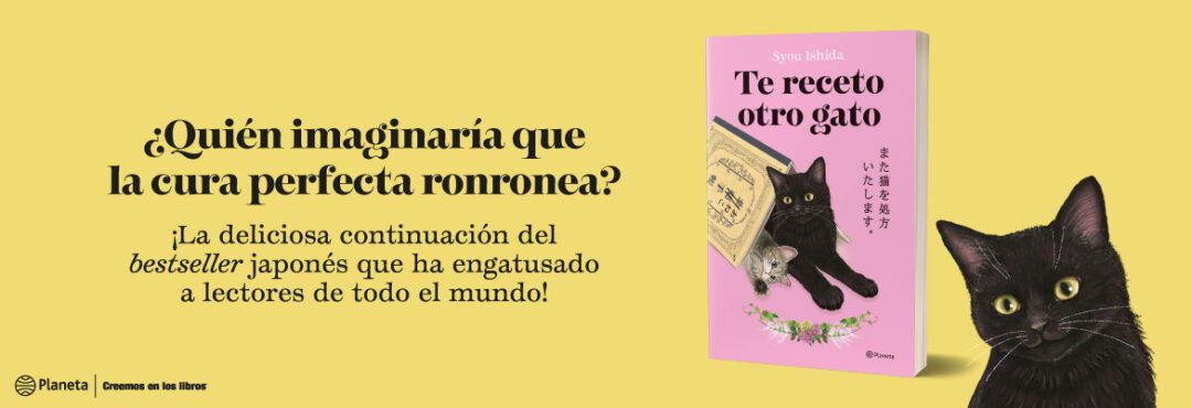 Te receto otro gato Jerplaz web
